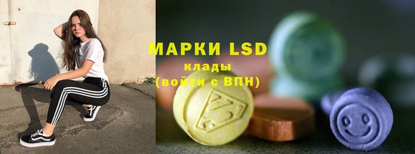 ПСИЛОЦИБИНОВЫЕ ГРИБЫ Вязьма