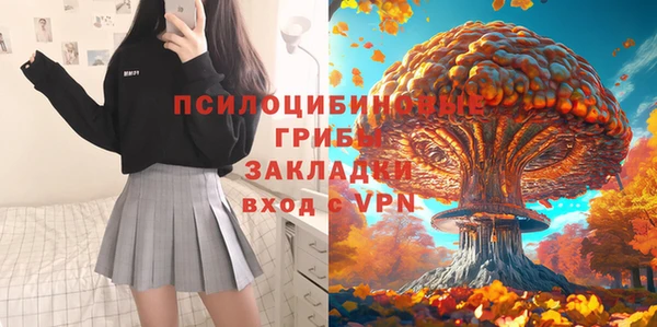 ПСИЛОЦИБИНОВЫЕ ГРИБЫ Вязьма