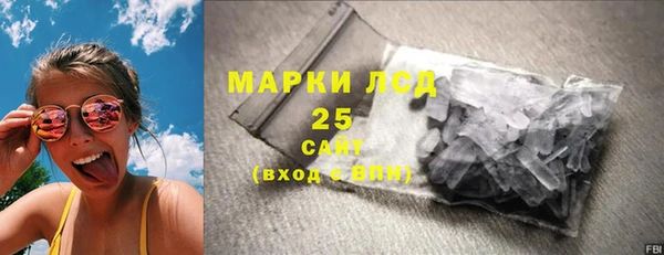 ПСИЛОЦИБИНОВЫЕ ГРИБЫ Вязьма