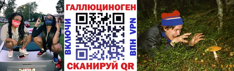 Галлюциногенные грибы GOLDEN TEACHER  ссылка на мегу как войти  Кисловодск 